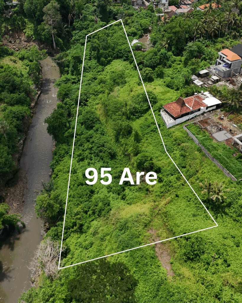 💎Hidden Investment Gem with River, Waterfall & Jungle View